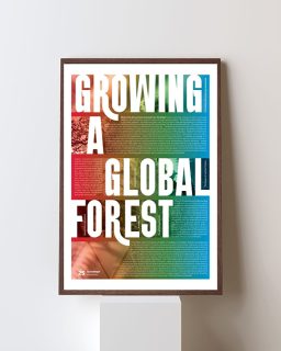 Growing A Global Forest
