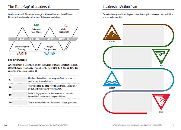 TetraMap of Leadership